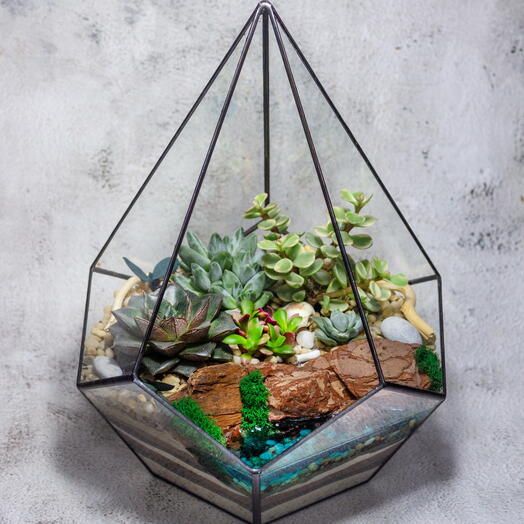 Флорариум L Капля