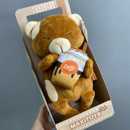 Кот Саймон в коробке
