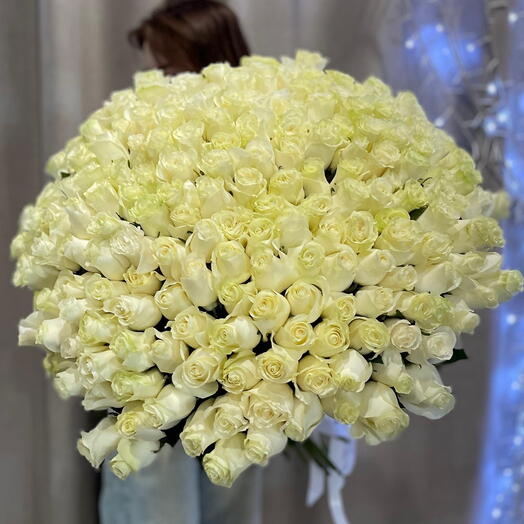 Роза 151 Эквадор 60 см