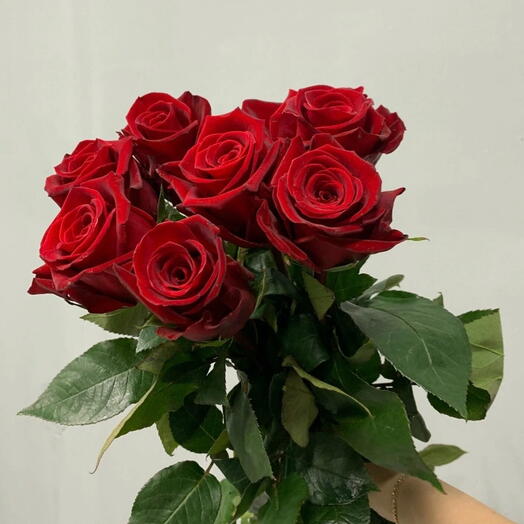 🌹Букет из 7 роз Premium Explorer🌹