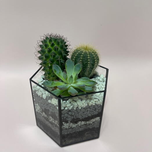 Флорариум геометрия