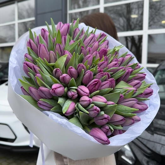 Букет из 101 фиолетового тюльпана