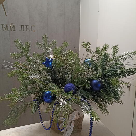 Морозный день