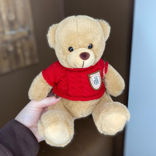 Медведь игрушка 🧸