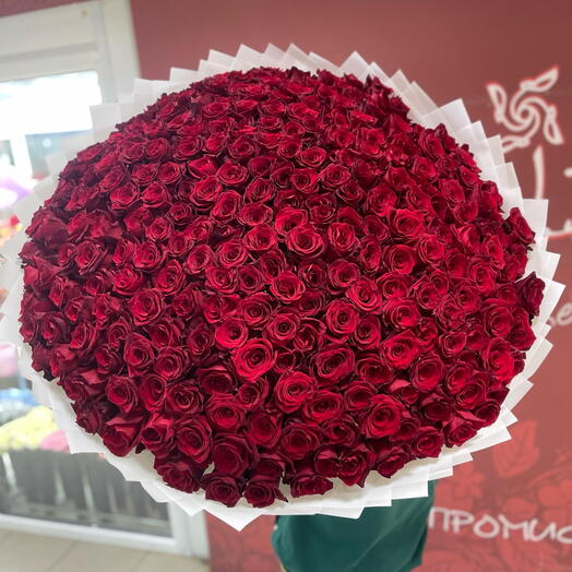 250 Эквадорских роз