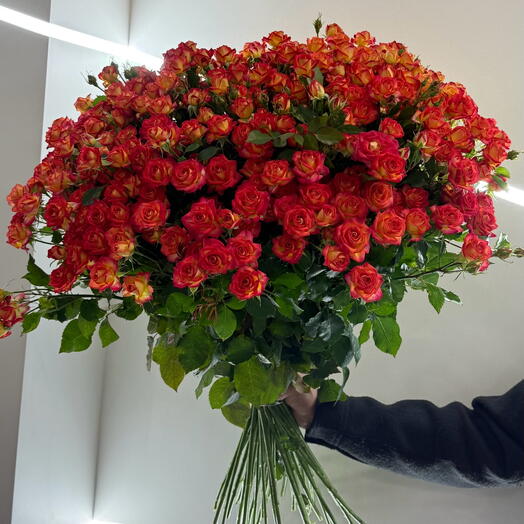 Orange spray rose