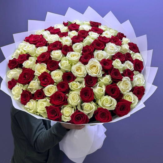 101 красная и белая Роза микс 70 см