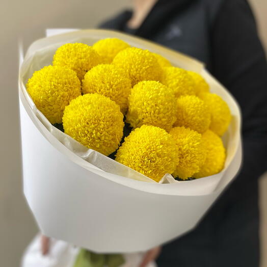 Солнечные шарики