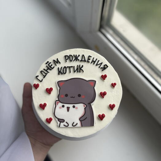 Бенто-торт «С днем рождения, котик»