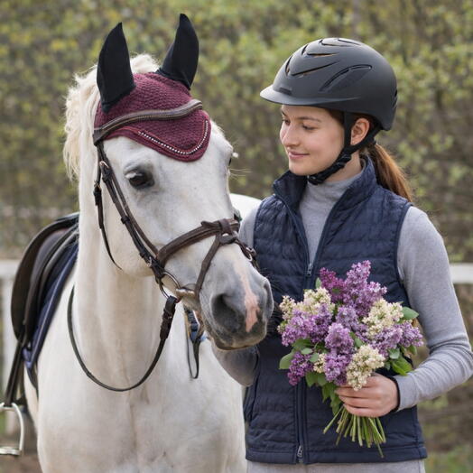 Сертификат на конный поход