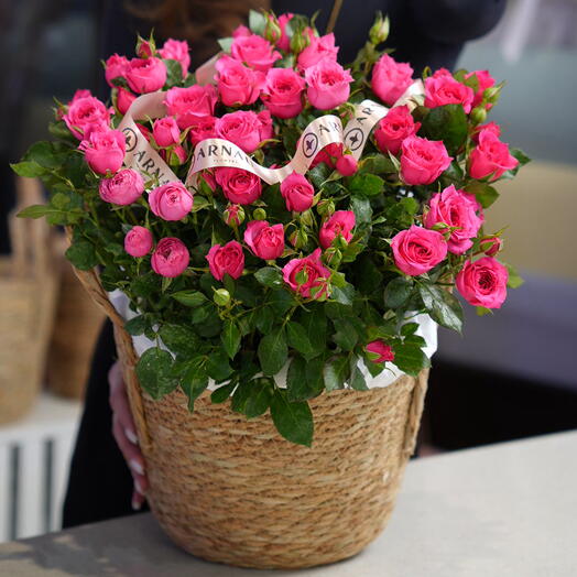 Моно-композиция Софи 9 шт в корзине