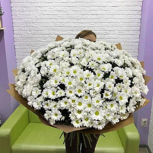 Летний гигант🌸🌸
