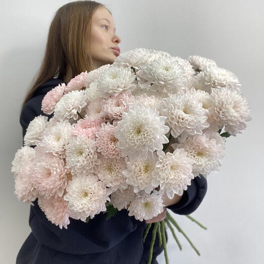 Охапка из 13 нежно-розовых кустовых хризантем под ленту🎀 Bloom room: большой выбор букетов в профиле магазина