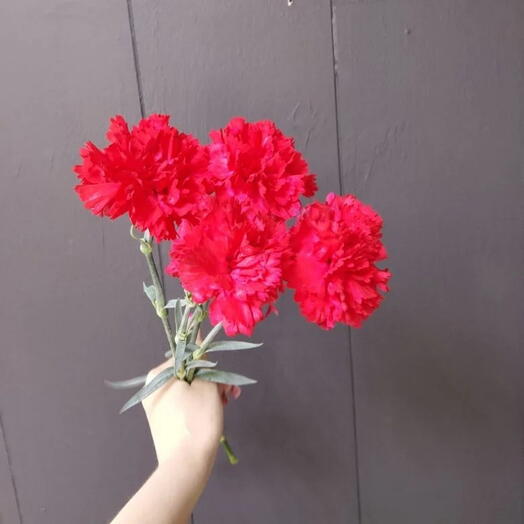 Гвоздика красная (4 шт)