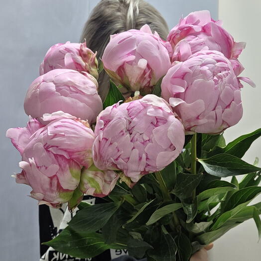 Пионы, дофаминовый, peony