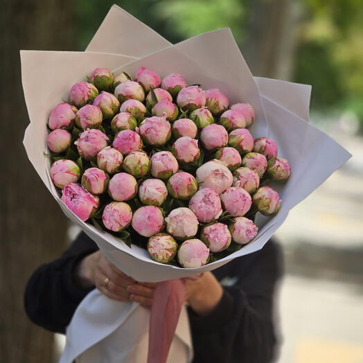 51 пион "Сара"💕