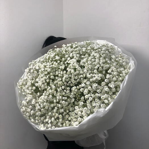 пышный букет гипсофилы