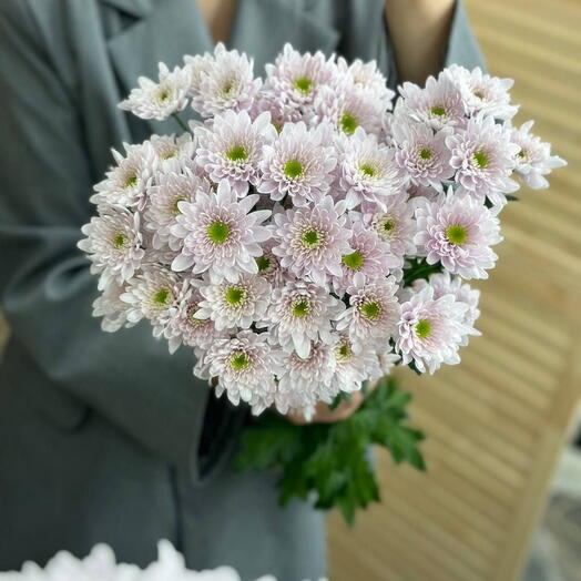 Хризантема Пинк Коммандер ОПТОВАЯ ПАЧКА - 9 стеблей🌸