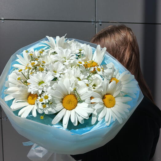 Ромашки летние