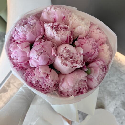 Signature Peonies