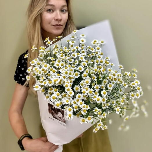 Букет из 9 шт.матрикарии , ромашка Камилла