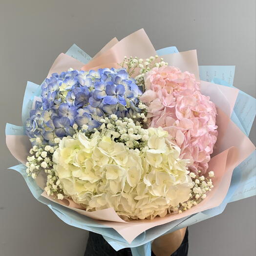 Букет гортензий 💗💙