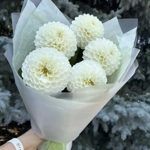 Хрустальная свежесть