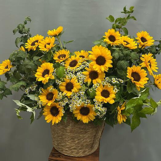🌻🌻🌻Цветы в корзине подсолнухи ромашки и зелень