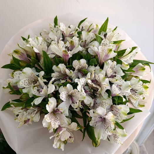 Белоснежка! из 15 белых альстромерий 💐🕊❄️🍀