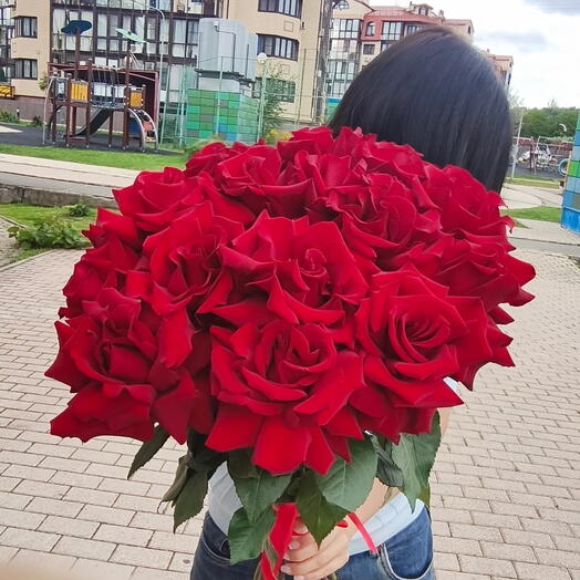 Французские бордовые розы 15штук