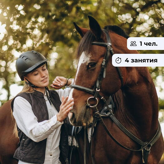Путь всадника. Курс верховой езды