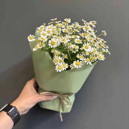 Композиция с ромашками