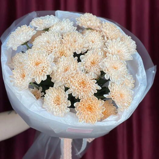 Моно персиковых хризантем