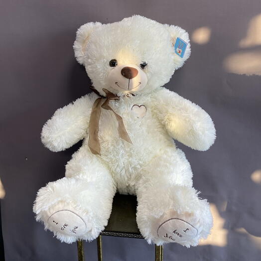 🧸 медведь