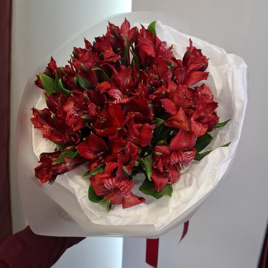 Монобукет с красными альстромериями (05710)
