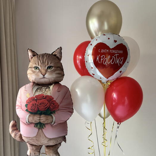 Воздушные шарики с котом для подруги