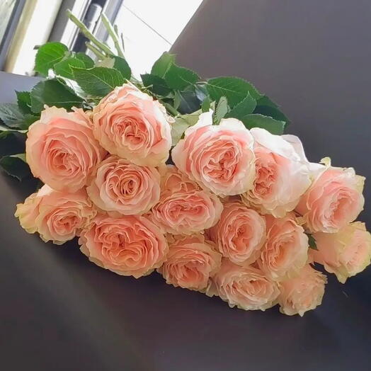 Пионовыдные розы Эквадор
Принцесса Краун 👸