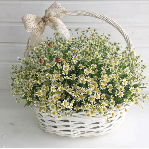 Basket with daisies