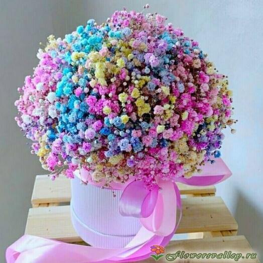 Rainbow gypsophila in a hatbox