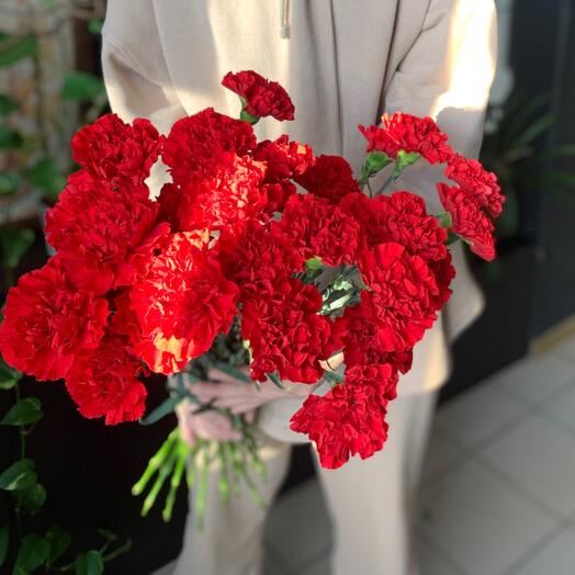 Clavel 20 piezas