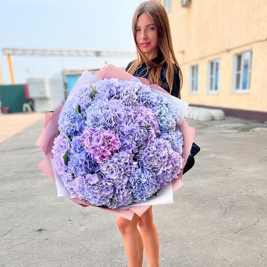 Ramo de Hortensias lavanda 21pcs