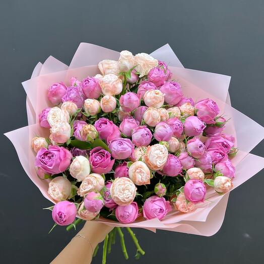 17 rosas arbustivas en forma de peonía