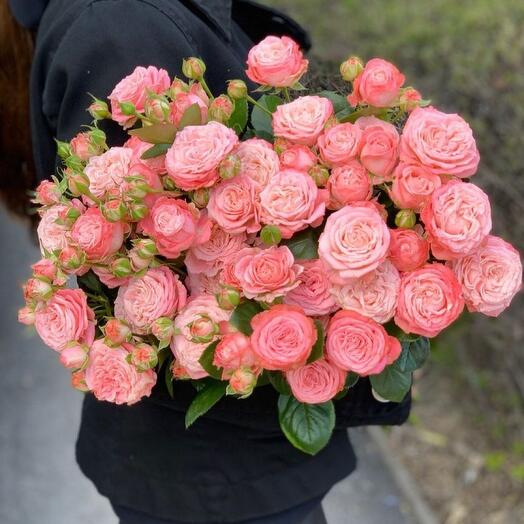 Rosas Bombastic 19