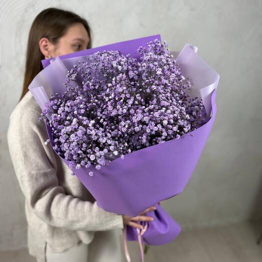 Фиолетовые гипсофилы