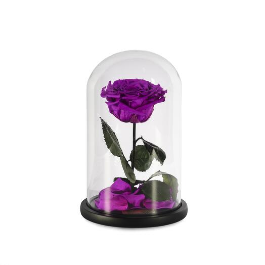 Merlot Preserved Roses in a Glass Dome Single