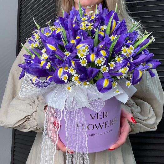 Irises with daisies in a box