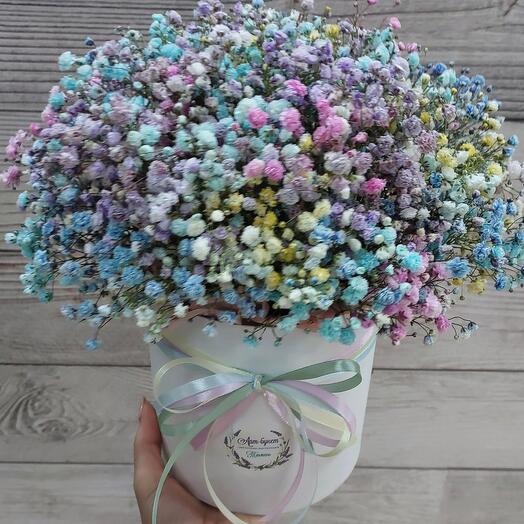 Rainbow cloud of gypsophila