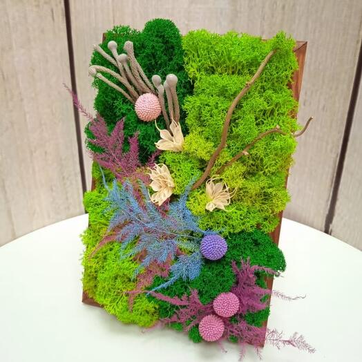 Картина из стабилизированного мха с сухоцветами Душевное спокойствие