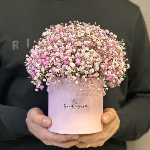 Gypsophila en la Caja "Venus"