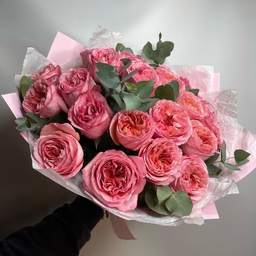 Peony Roses Pink Expression 💗